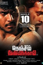 Nenjil Thunivirundhal (2017) HD 720p Tamil Movie Watch Online