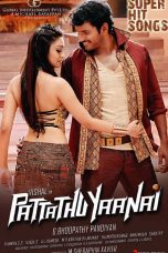Pattathu Yaanai (2013) HD 720p Tamil Movie Watch Online